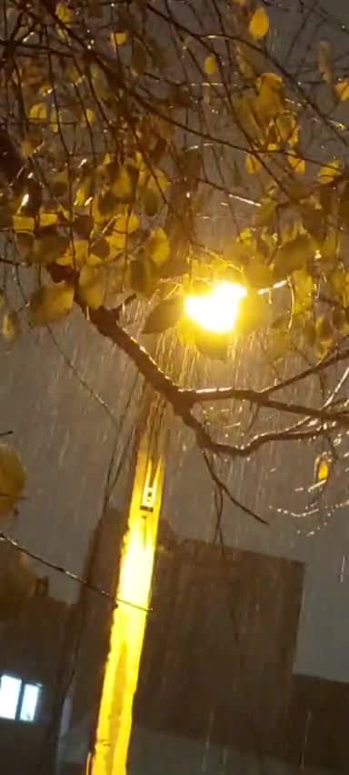   بارش شدید باران هم‌اکنون در تهران