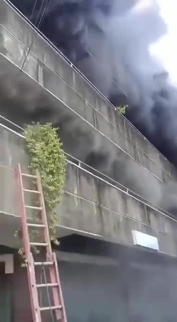   فداکاری زن فیلیپینی برای نجات سگ‌هایش از شعله‌های آتش