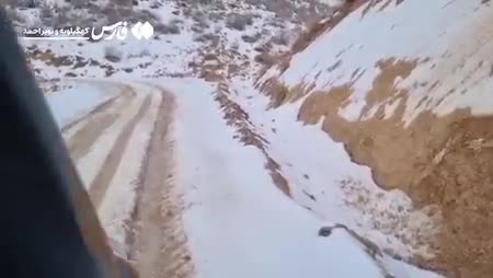   نجات مادر باردار در مسیرهای صعب‌العبور زیلایی