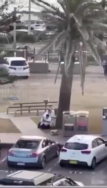   لحظه‌ای که احمد الاحمد در درگیری با افراد مسلح در سیدنی، از بازو مجروح شد