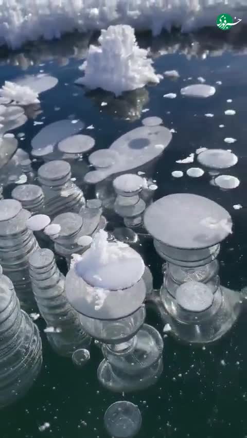   دریاچه یخ‌زده سوئیس؛ حباب‌های متان و گل‌های یخی درخشان