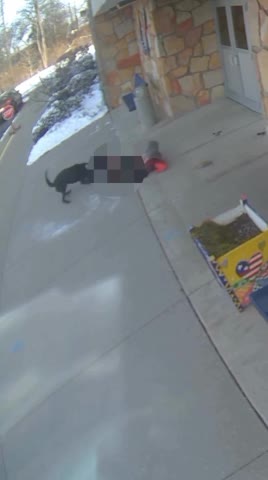   وحشت مقابل مدرسه؛ حمله سگ ولگرد به مادر بی‌دفاع