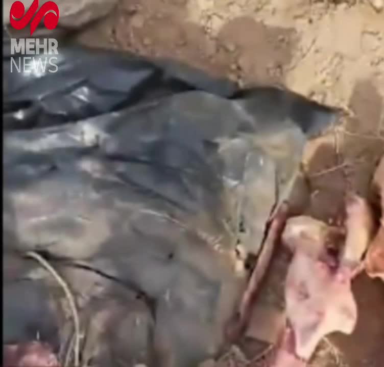   جزئیات تکان دهنده پرونده کشف ۳ تن گوشت الاغ در تهران