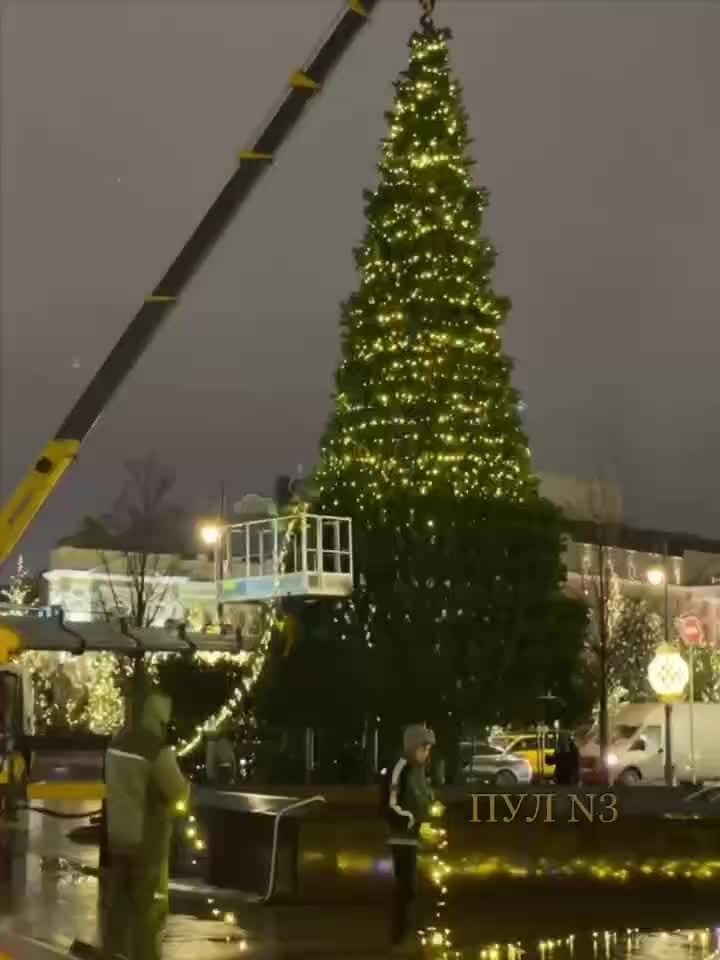   تزئین و چراغانی درخت کریسمس در مسکو
