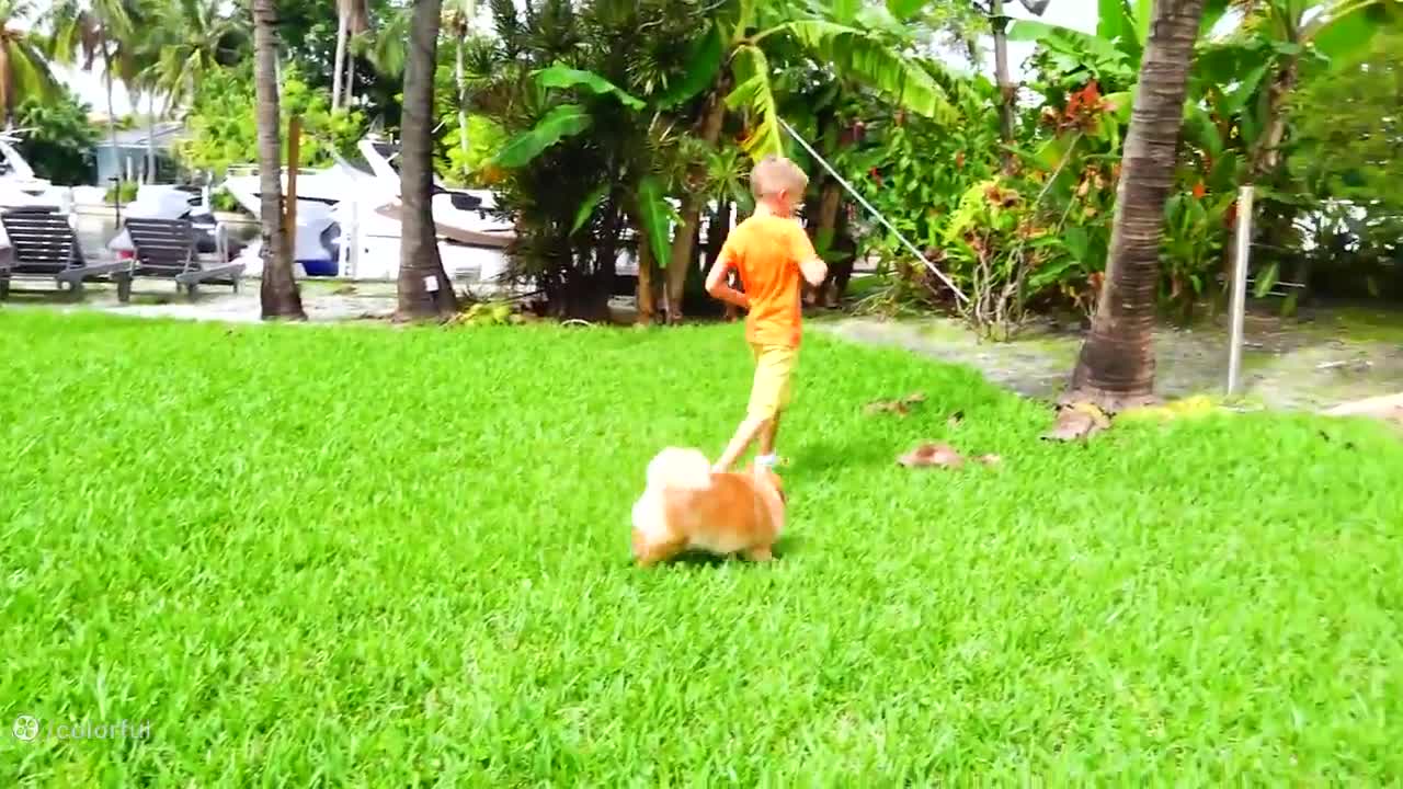 ماجراجویی‌های خنده‌دار ولاد و نیکی: سرگرمی‌های جدید برای کودکان!