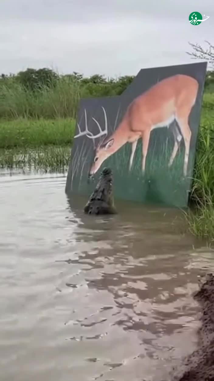   ویدیویی پربازدید از سر کار گذاشتن کروکودیل‌ها