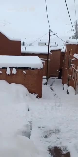   ذوق‌زدگی بانوی ابیانه‌ای از بارش برف در استان اصفهان