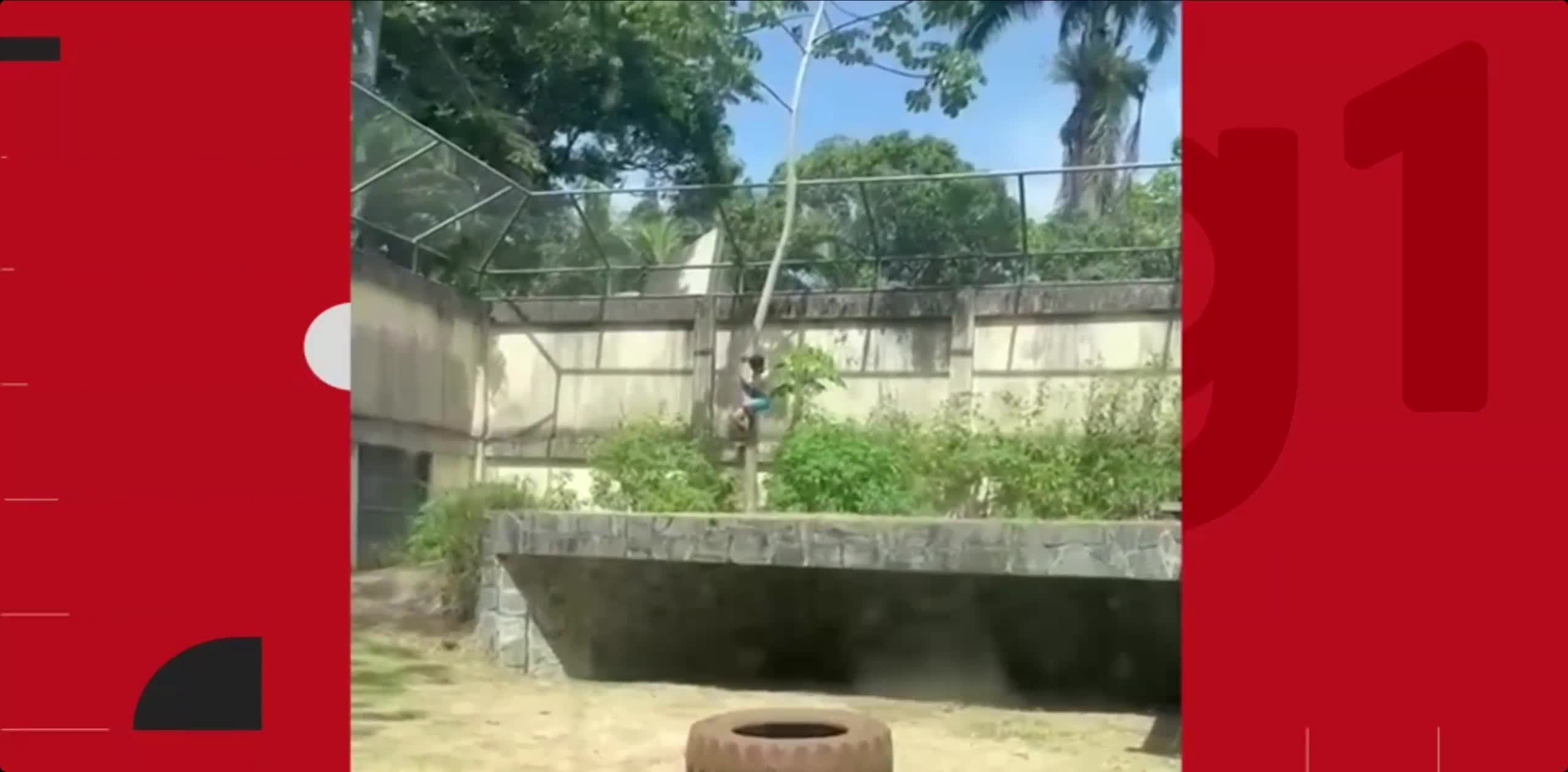   تصاویر دلخراش از حمله مرگبار شیر ماده به پسر ۱۹ ساله در برزیل