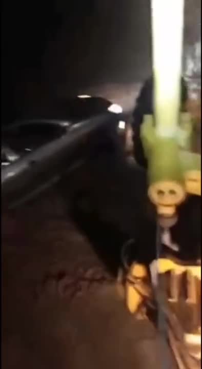   لحظات نفس‌گیر نجات سرنشینان خودرو از سیل طبس