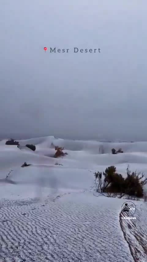   شگفتی یلدا در دل خشکسالی؛ کویر مصر اصفهان سفیدپوش شد