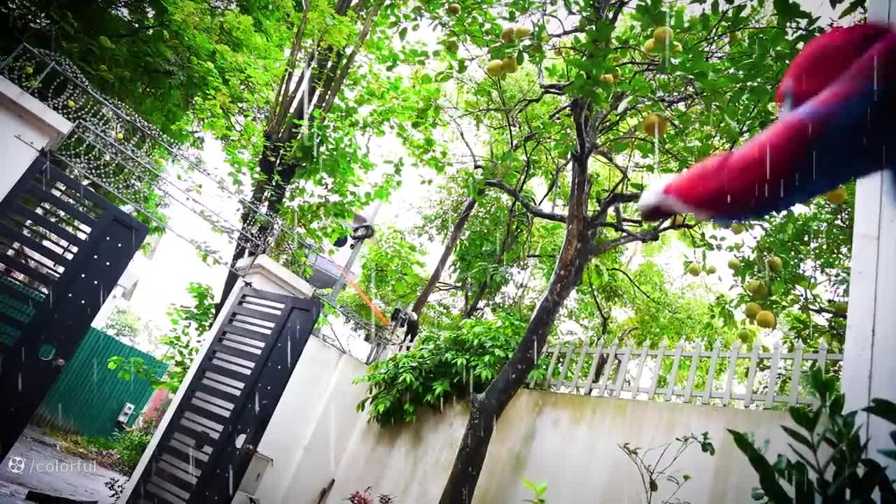 چطور مرد عنکبوتی به پدر تبدیل شد؟ داستانی خنده‌دار و دل‌نشین!