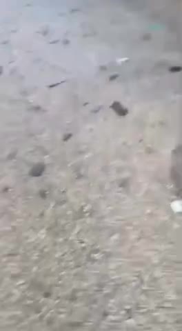   انفجار تروریستی داخل مسجدی در حمص سوریه