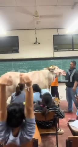   اقدام عجیب معلم تایلندی حین تدریس!