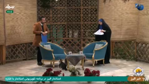   وقتی یک گربه آنتن زنده صداوسیما را به هم ریخت!