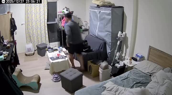    تعقیب و گریز با گربه هنگام وقوع زلزله، شهروند تایوانی را خسته کرد