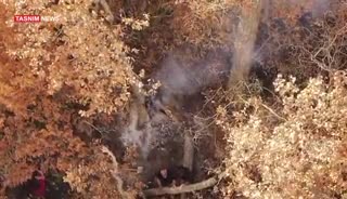   اطفای فوری حریق جزئی در جنگل الیت