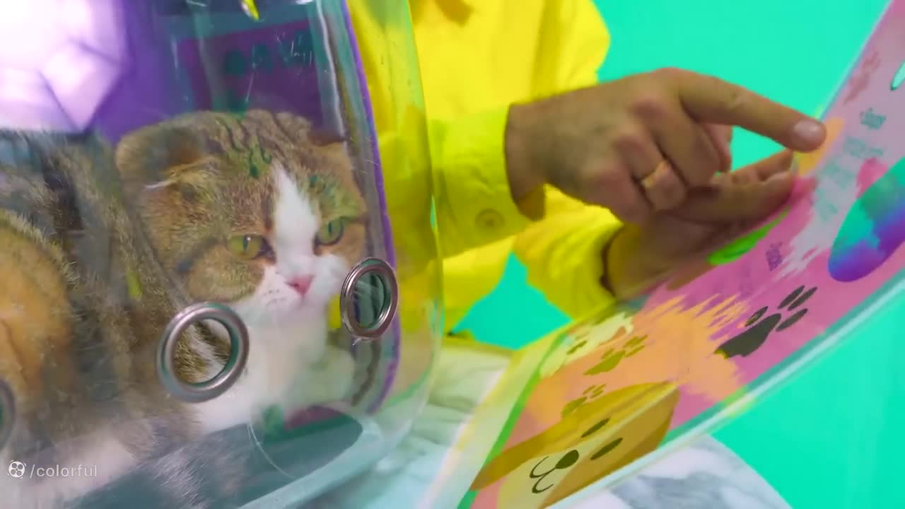 ناستیا: سفر خنده‌دار به دنیای کار و پس‌انداز!