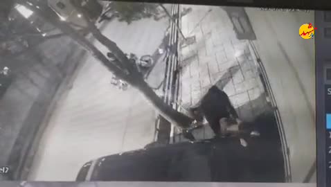   تصاویری شوکه‌کننده از قمه‌کشی و زورگیری از یک شهروند در بلوار دانشجو مشهد