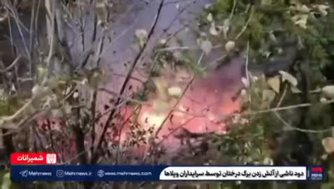   آتش زدن شاخ و برگ درختان در شمال تهران در سایه عدم نظارت مسئولین