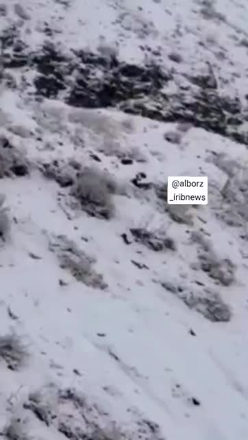   جاده چالوس سفیدپوش شد