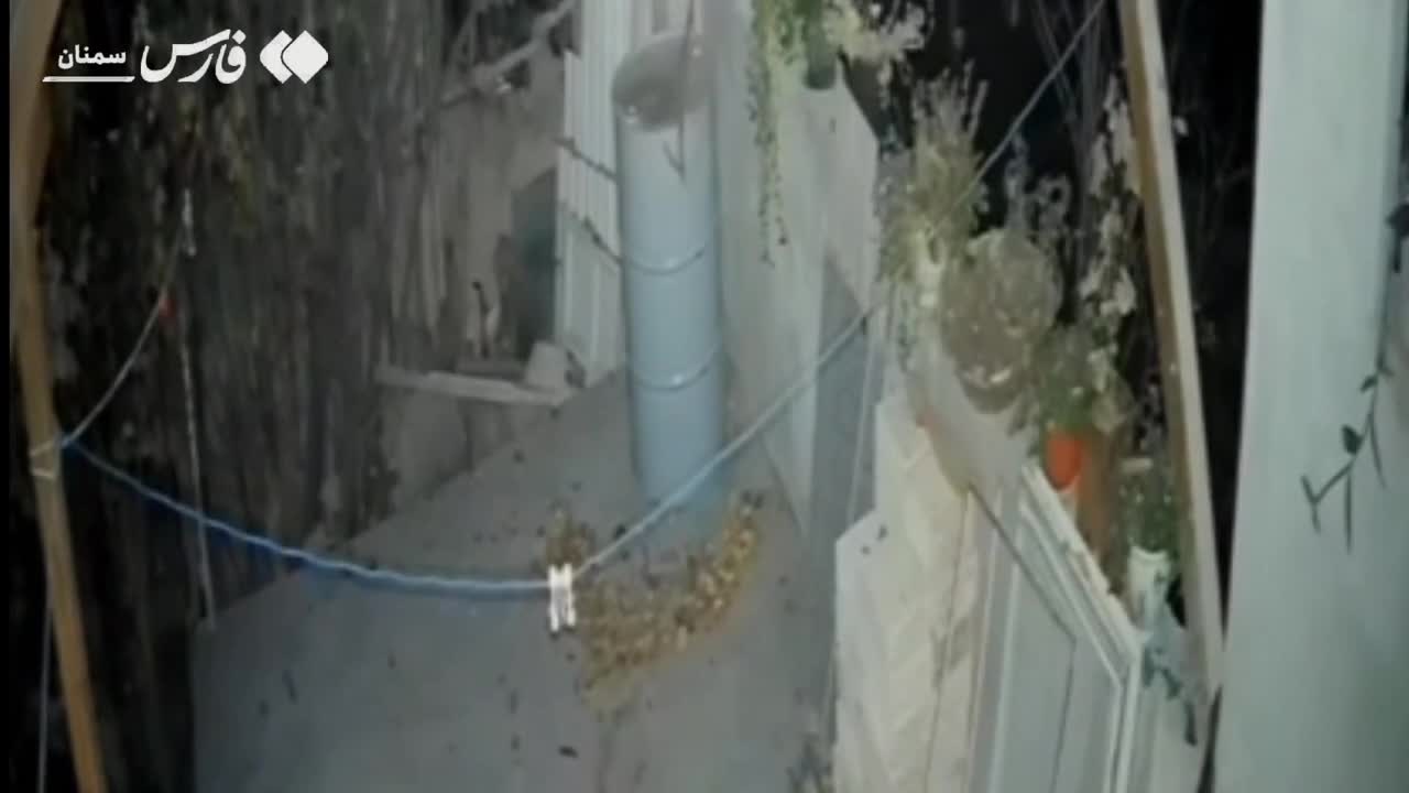   خرس، مهمان ناخواندۀ منزل مسکونی در خطیرکوه!