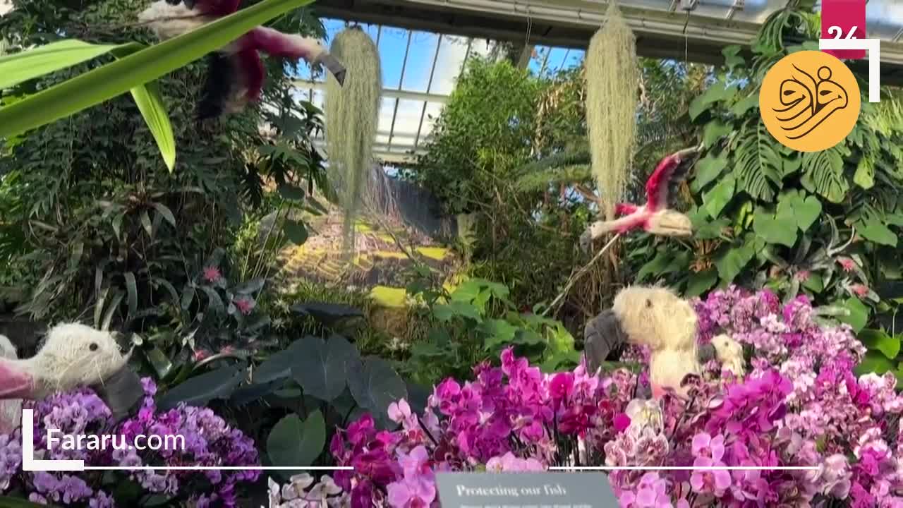  جشنواره ارکیده ۲۰۲۵ باغ‌های کیو لندن