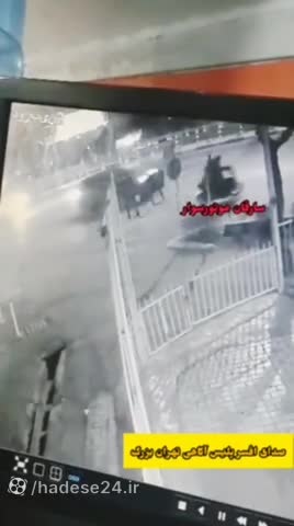 قتل دانشجوی ۱۹ ساله در سایه بی توجهی مسئولان دانشگاه