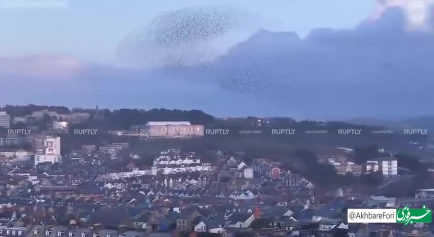   رویداد عجیب در آبریستویث ولز