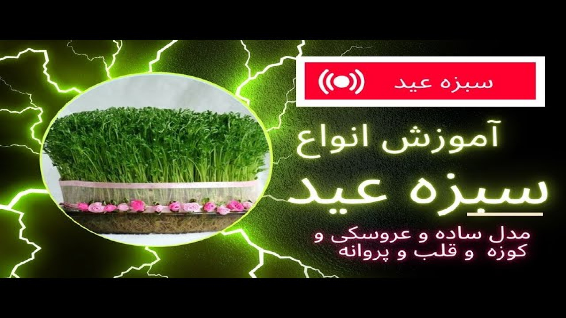 آموزش درست کردن سبزه عید مدل ساده و عروسکی و کوزه | سفره هفت سین ایرانی