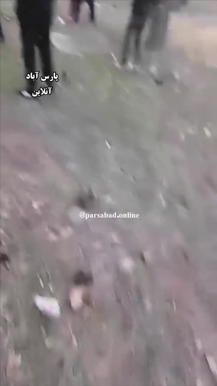   حادثه عجیب رانندگی در جاده پارس آباد!
