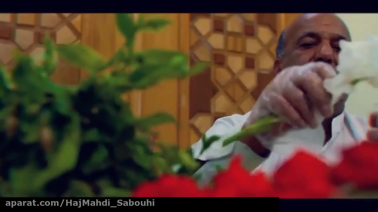 یار امام