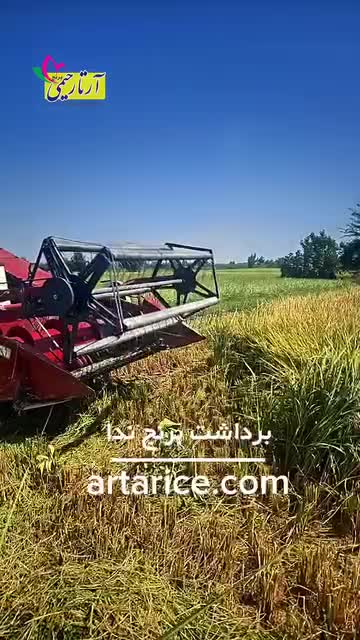خرید برنج ندا