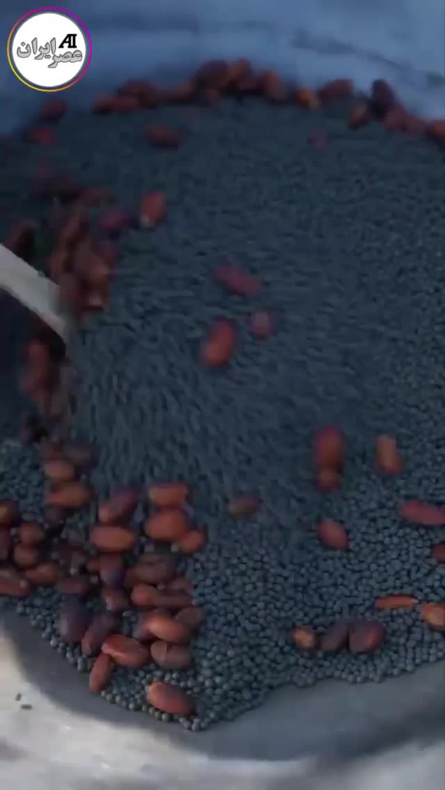 ببینید؛ از دانه کاکائو تا شکلات اصل!
