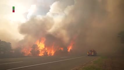   ۱۳ هکتار جنگل خاکستر شد!