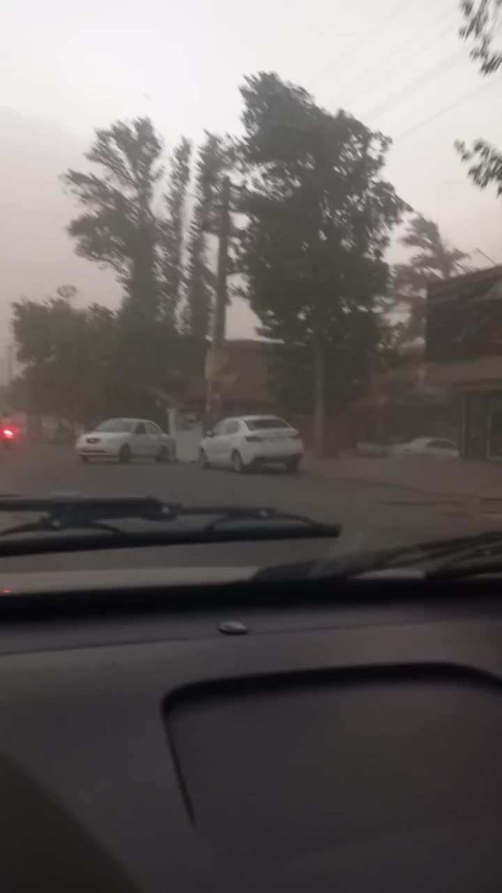   شکستن درخت بر اثر طوفان در تهران