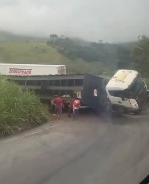   واژگونی یک کامیون حامل حیوانات در برزیل