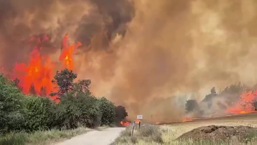   سرایت آتش‌سوزی امروز به نزدیکی غزه