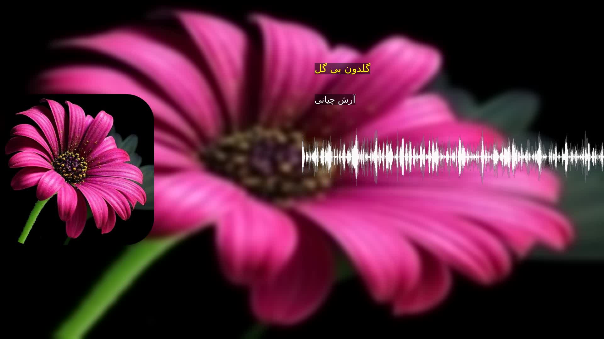 دانلود گلدون بی گل آرش چیانی