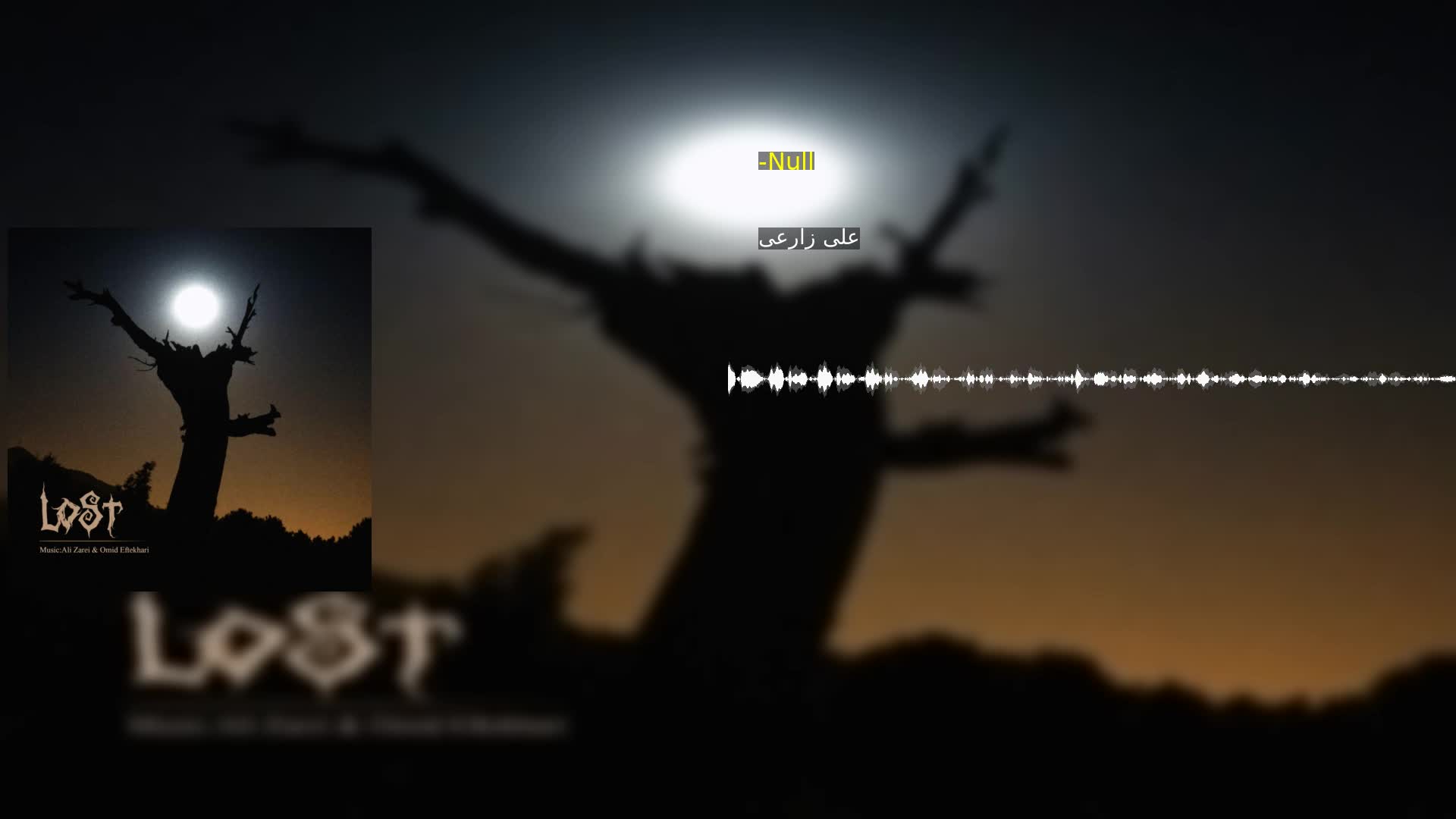 -Null علی زارعی