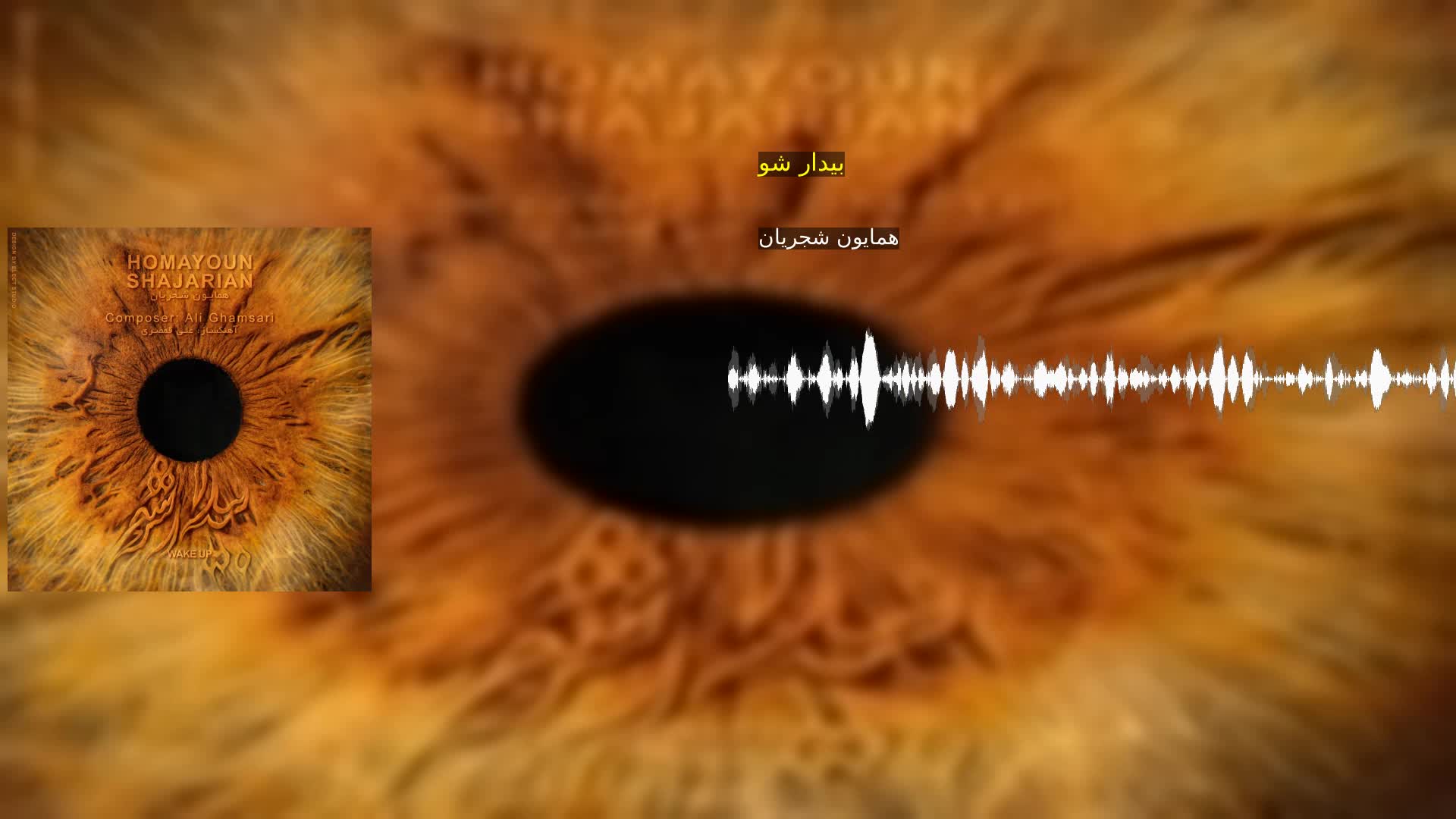 بیدار شو همایون شجریان