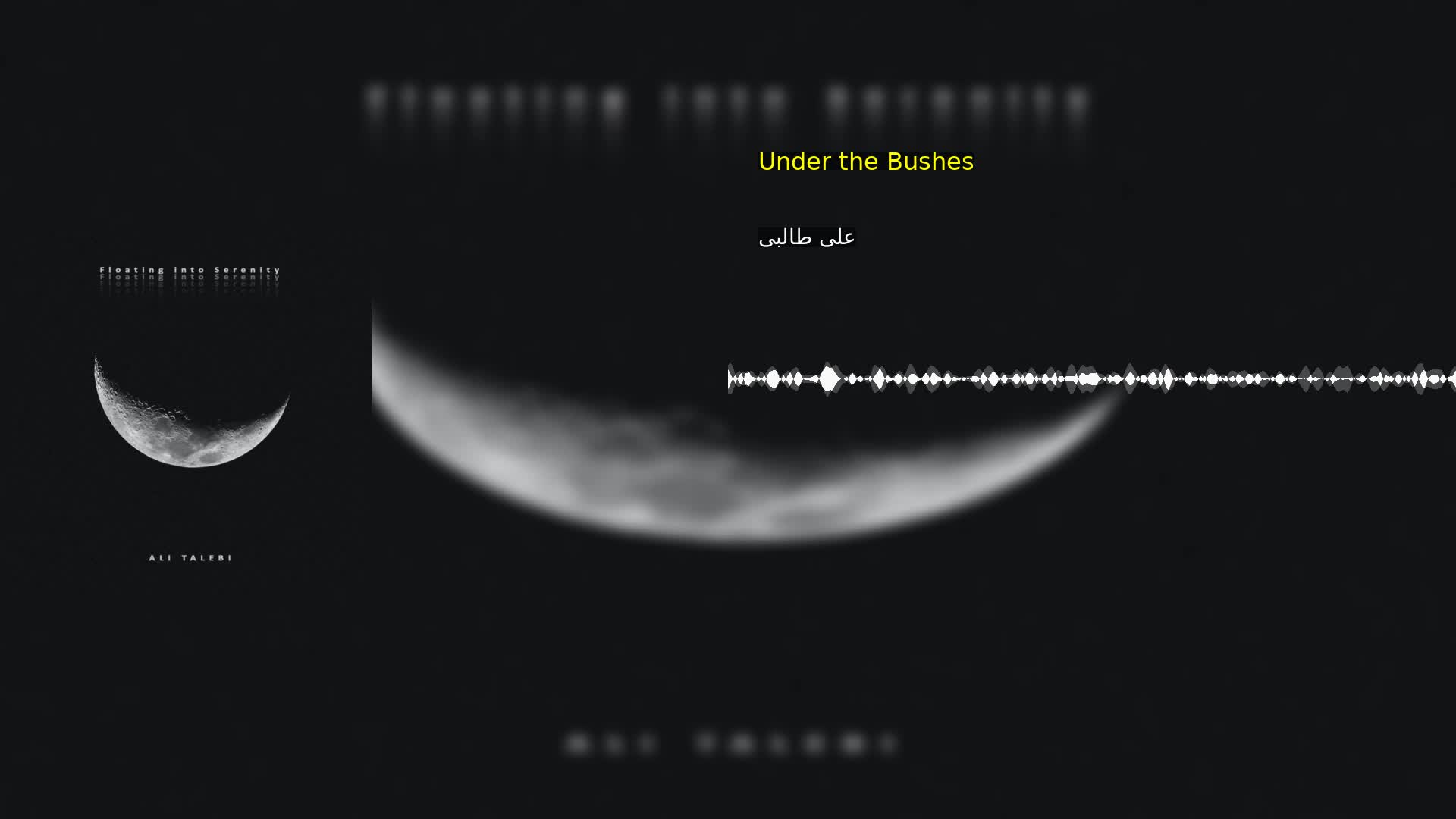 دانلود Under the Bushes علی طالبی