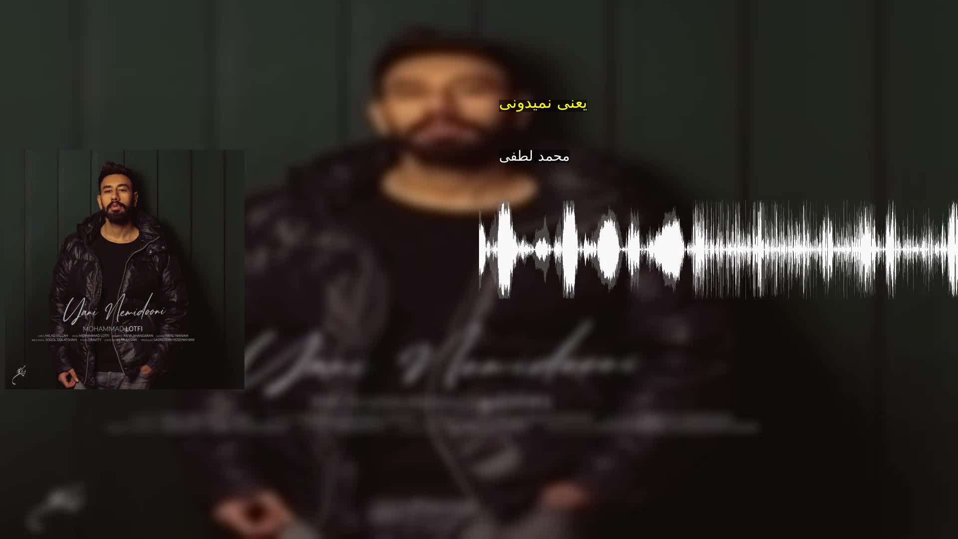 دانلود یعنی نمیدونی محمد لطفی
