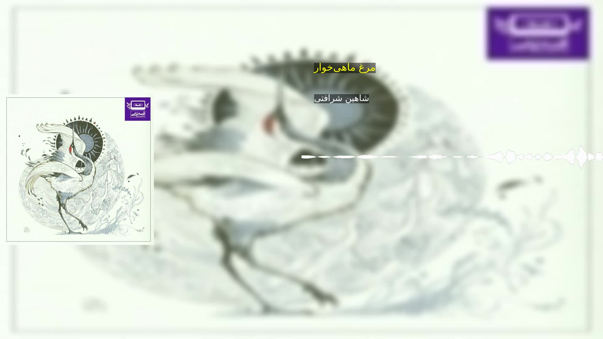 دانلود مرغ ماهی‌خوار شاهین شرافتی