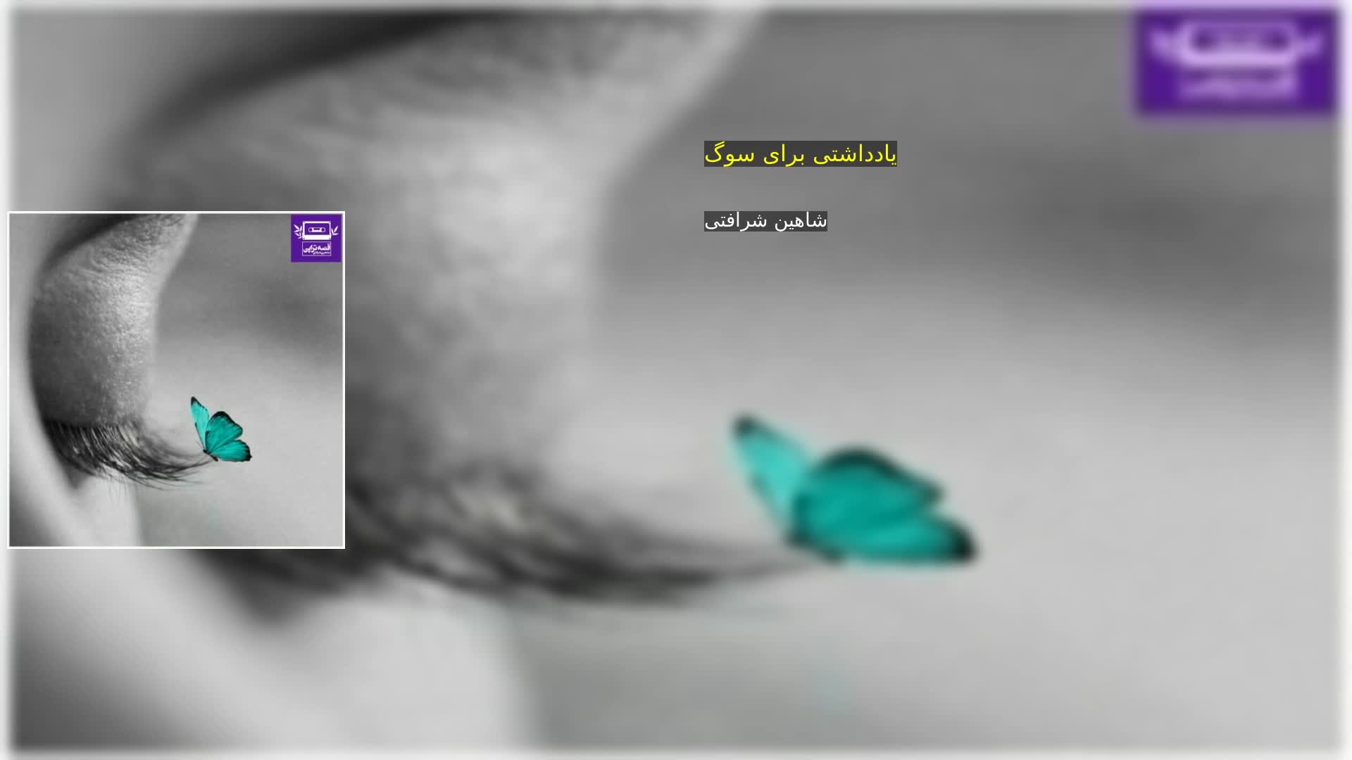 دانلود یادداشتی برای سوگ شاهین شرافتی
