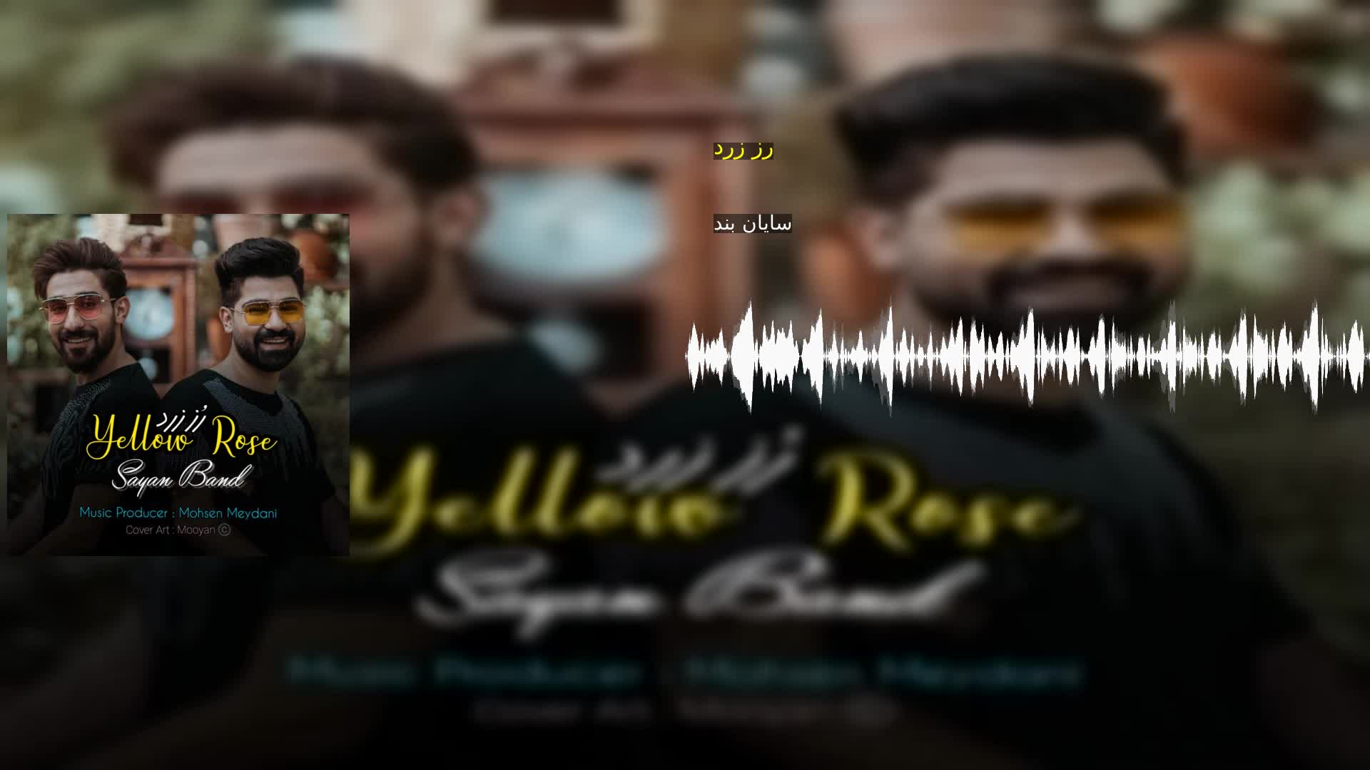 دانلود رز زرد سایان بند