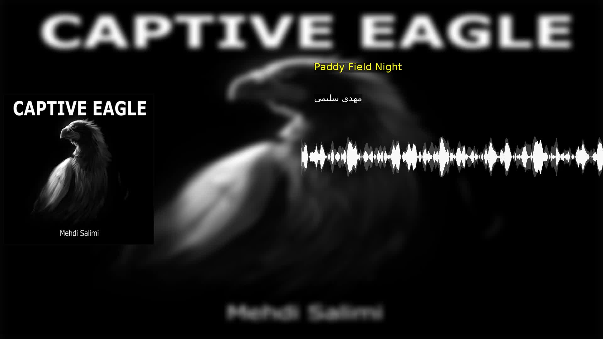 دانلود Paddy Field Night مهدی سلیمی