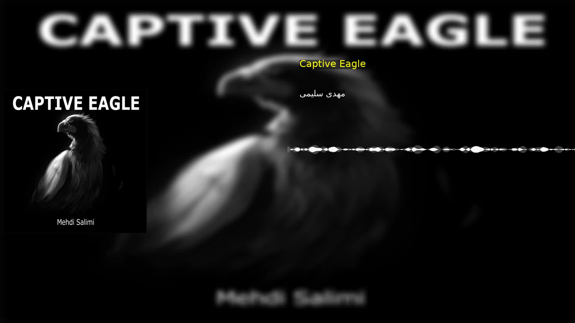دانلود Captive Eagle مهدی سلیمی