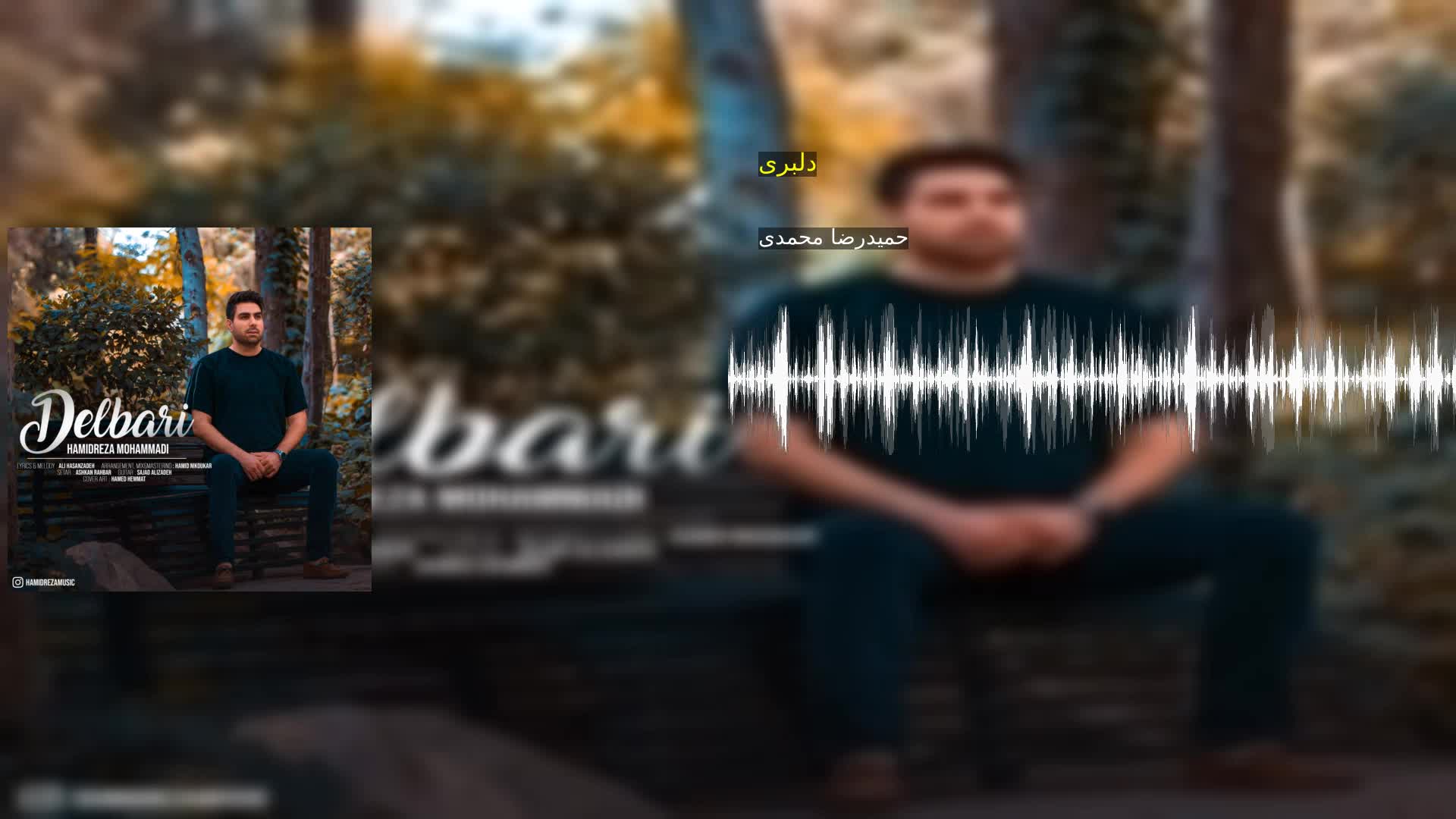 دانلود دلبری حمیدرضا محمدی