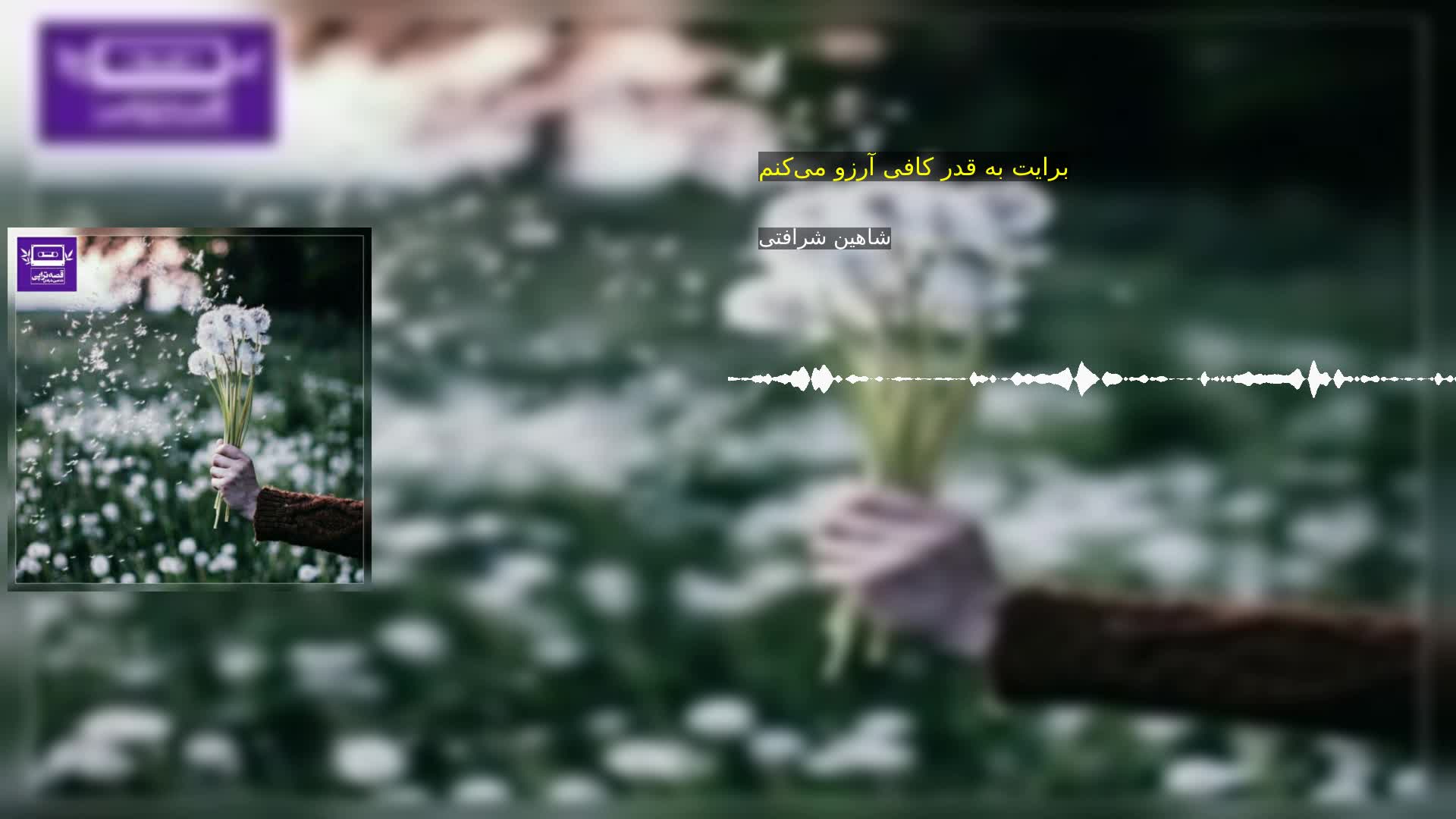 دانلود برایت به قدر کافی آرزو می‌کنم شاهین شرافتی