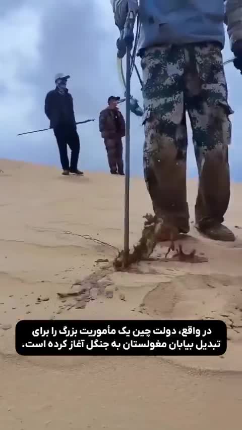   تکنیک چین برای درختکاری وسط بیابان؛ تبدیل صحرا به سرزمین سبز!